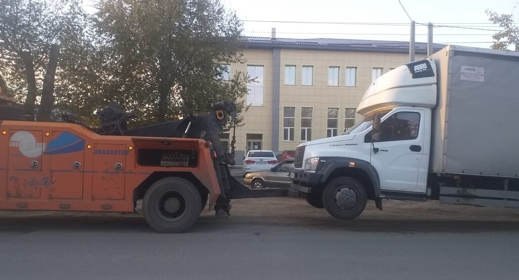 фото автора. Газон Next
