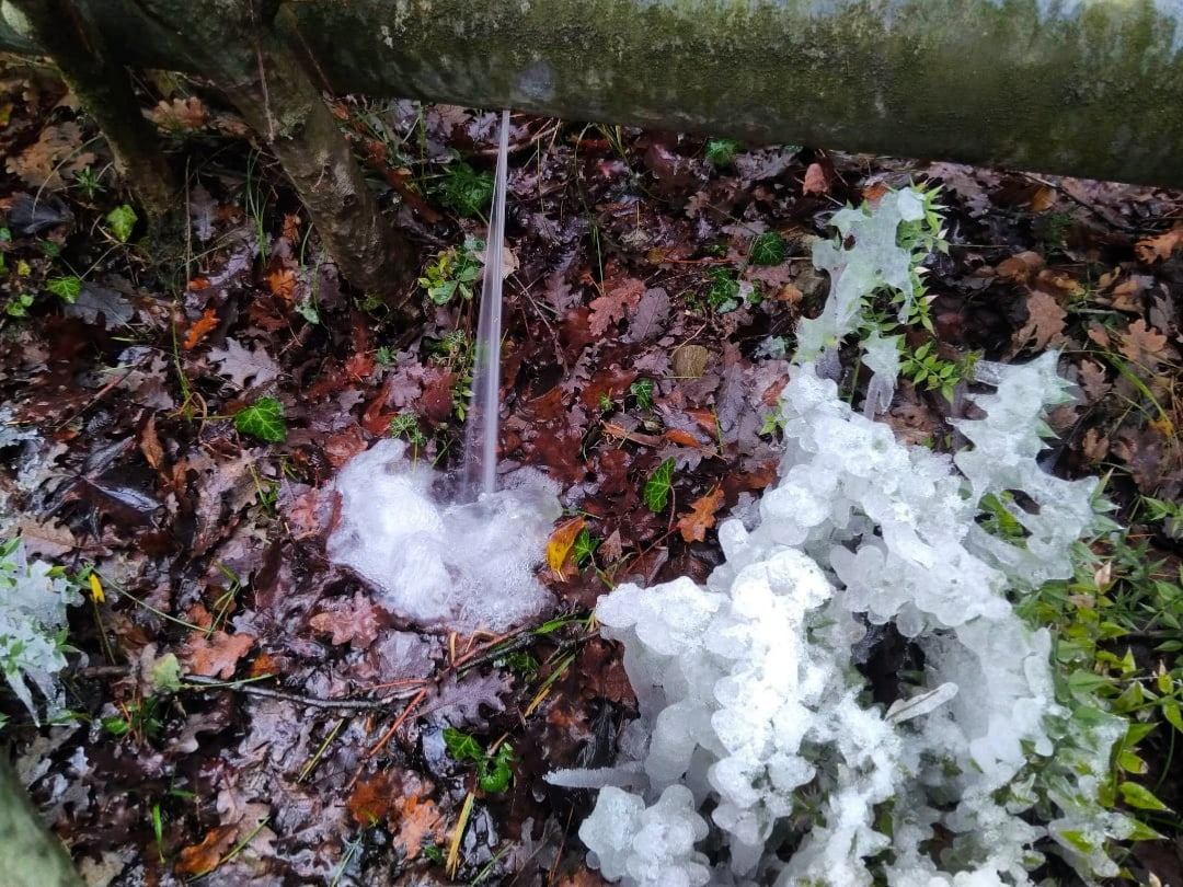 Фото Н. Вахрушевой