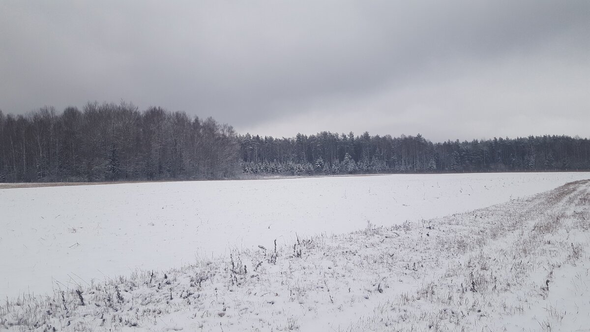 листайте галерею