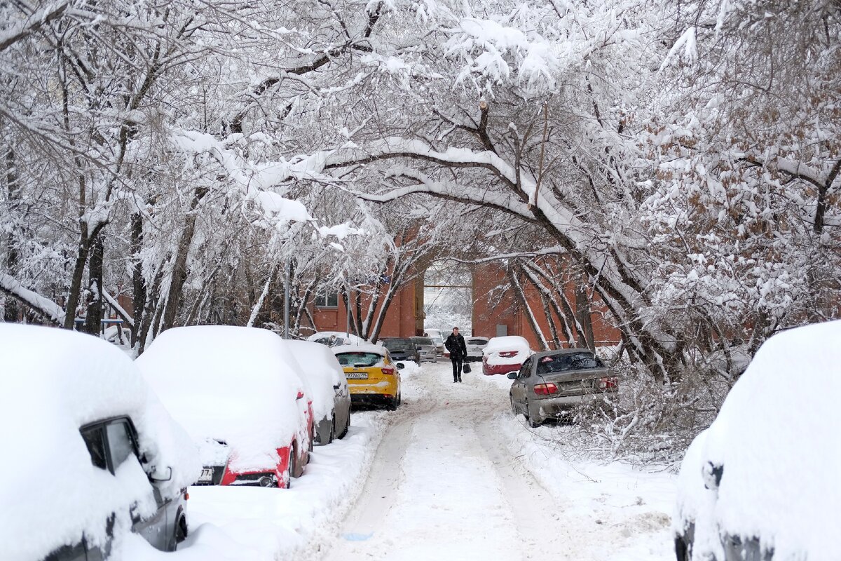 Картинка из сети интернет для иллюстрации