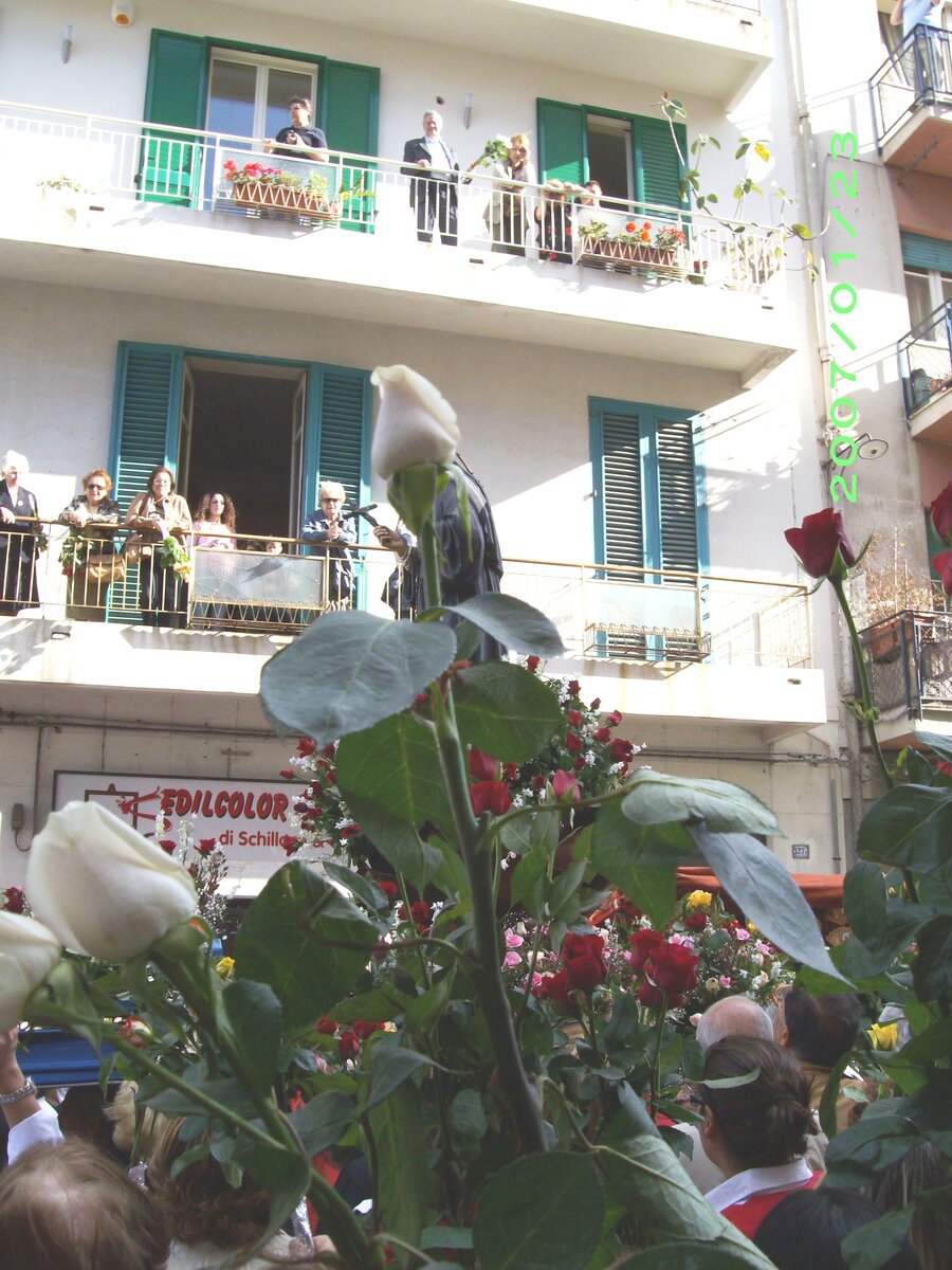 Розы вверх! 