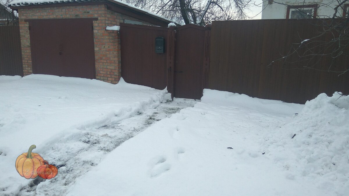 Прочистил дорожку от дороги до калитки. Создал эффект присутствия. (Листайте➡)