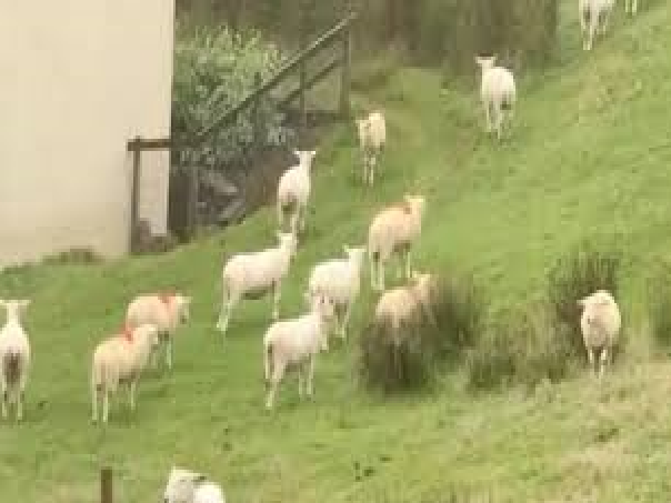 фотография размыта ибо камера очень плохая. 