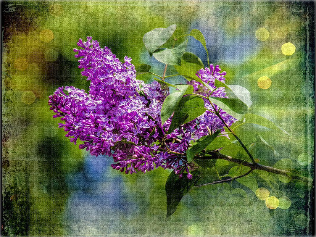 С открытого источника