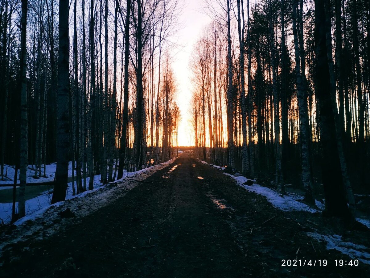 Ночная дорога около поста "Баня".  В данный момент пост "Баня" уничтожен и сожжен до тла оккупантами (сами понимаете о ком идёт речь, в Дзене нельзя писать конкретно, чтобы не заблокировали)