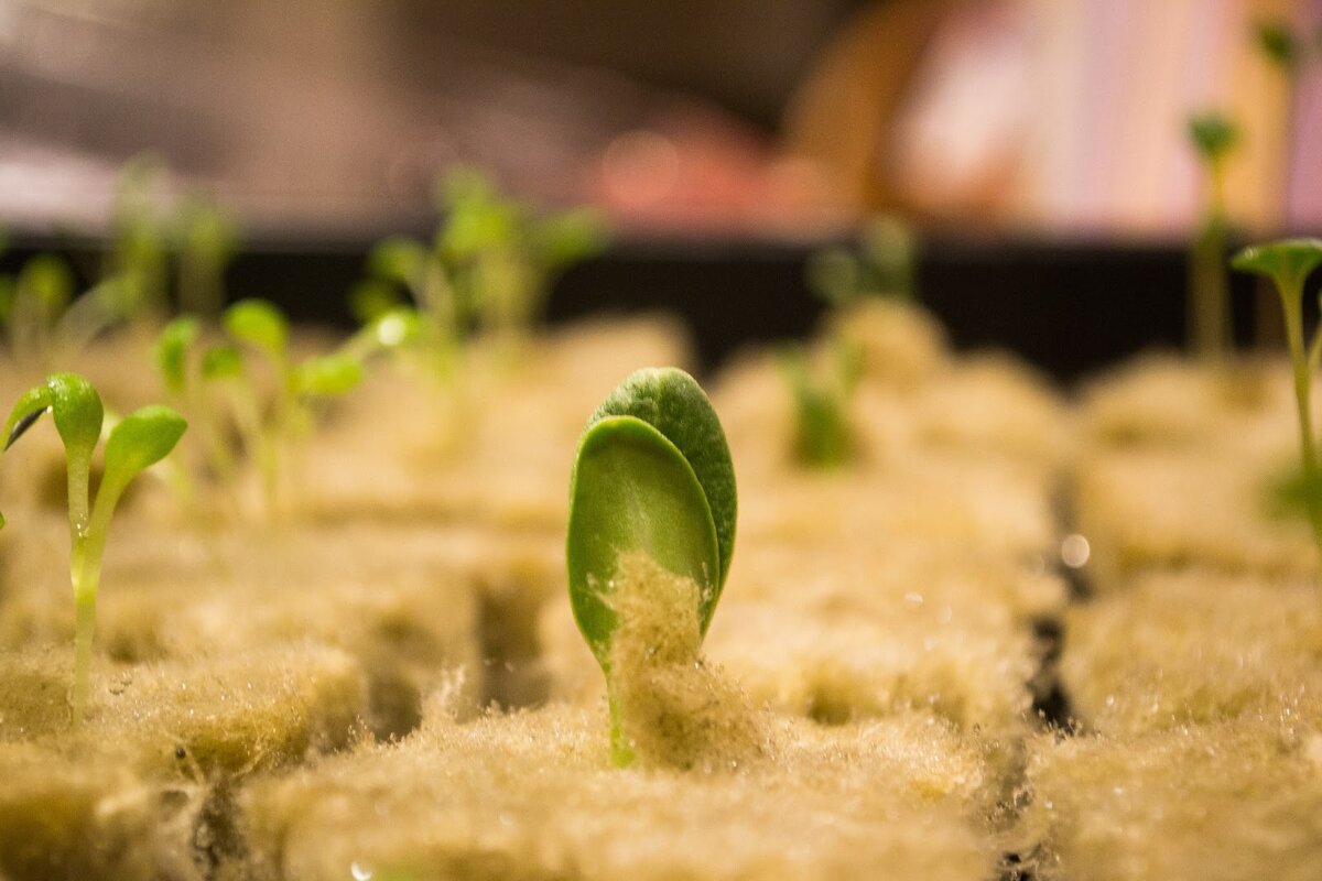 Источник: Яндекс.Картинки 