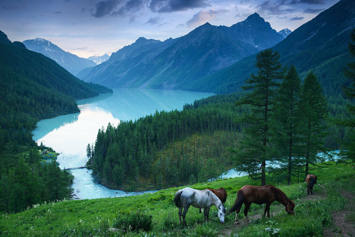 Алтай. Изображение из сети интернет и в свободном доступе