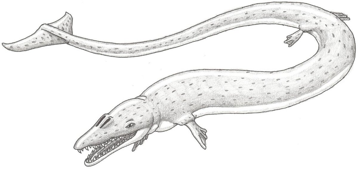 Предполагаемое изображение криптида «Мононгахелы». https://www.deviantart.com