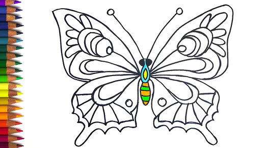 раскраски Бабочки