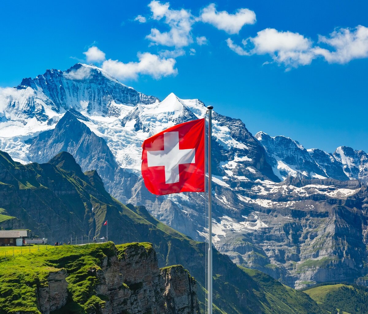 Фото: substack.com