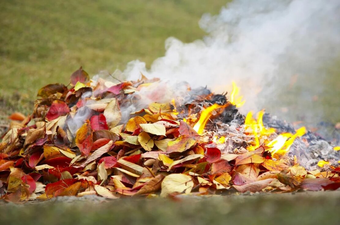 Сжигание листвы. Горящие листья. Костер осенью. Осенний костер. Почему нельзя сгорать