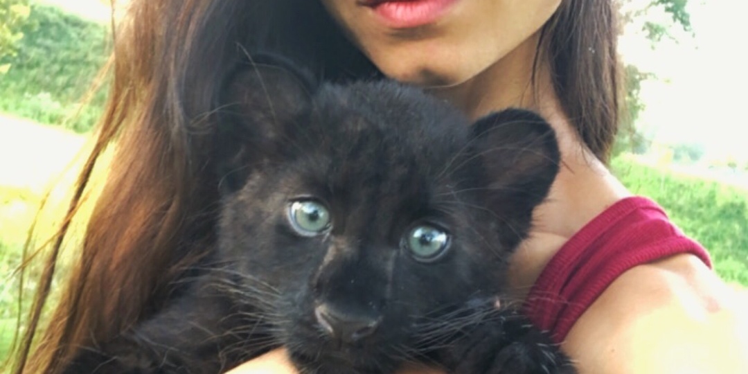 История Луны.