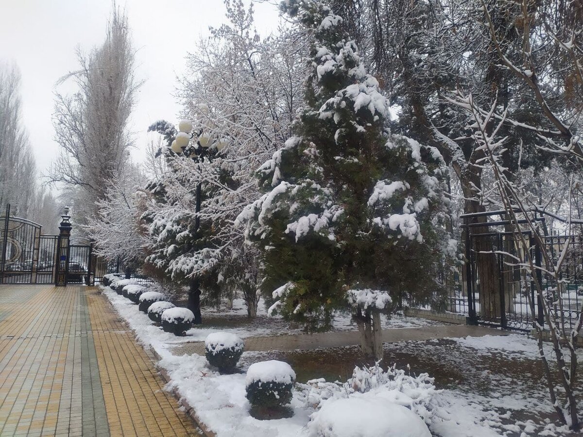 Скоро он растает


