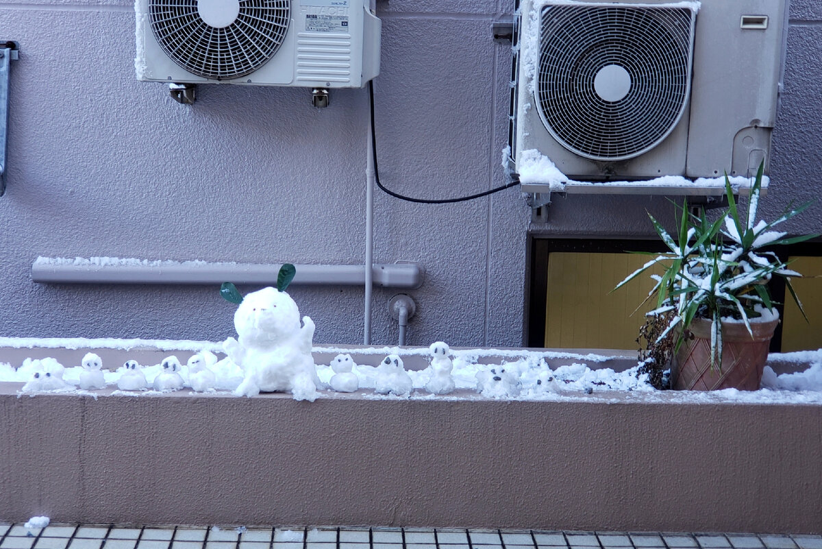 Возле дома (Фото моё)