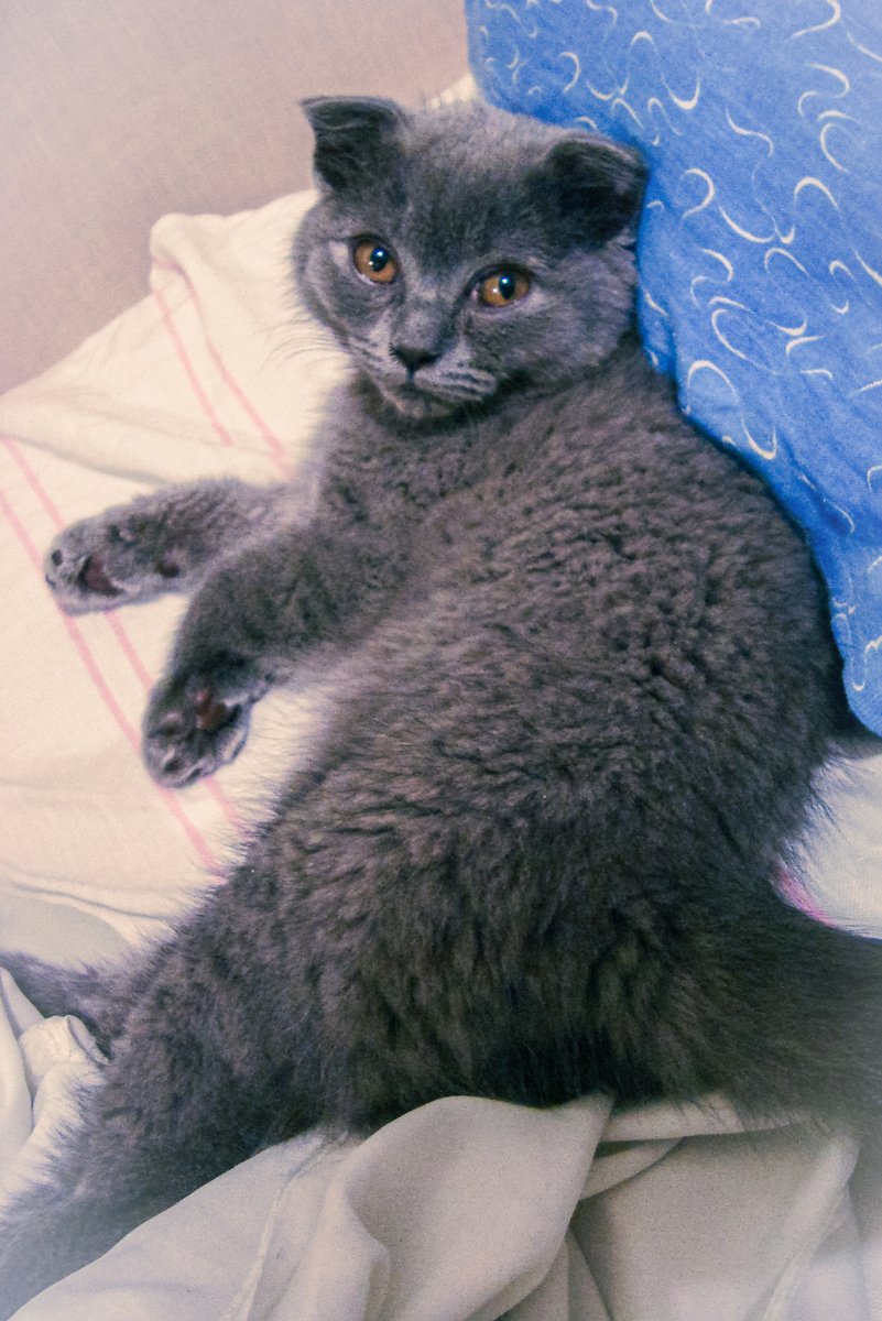 Мой второй день в новом доме