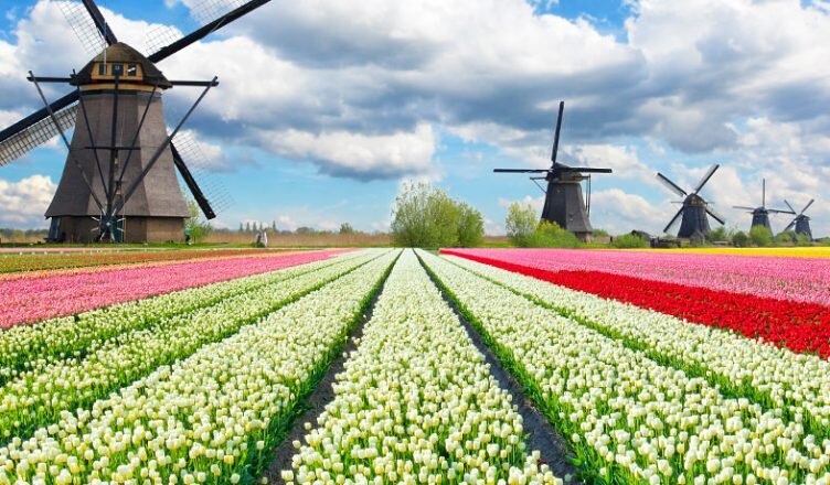 Очень яркая иллюстрация.