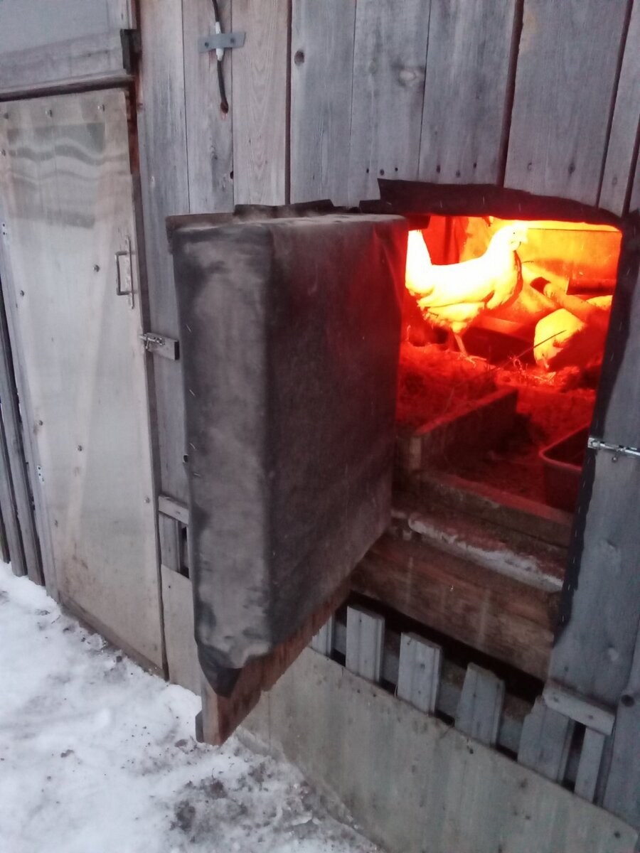 В курятнике зимой очень сильно пахнет, даже режет глаза. Что делать?