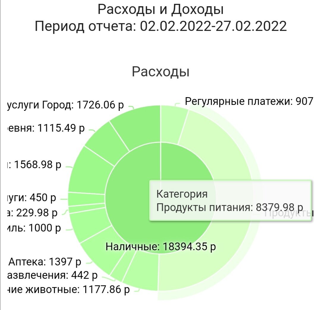 Сколько денег нужно двум пенсионерам на месяц. Анализ трат за февраль |  Провинциалка на пенсии | Дзен