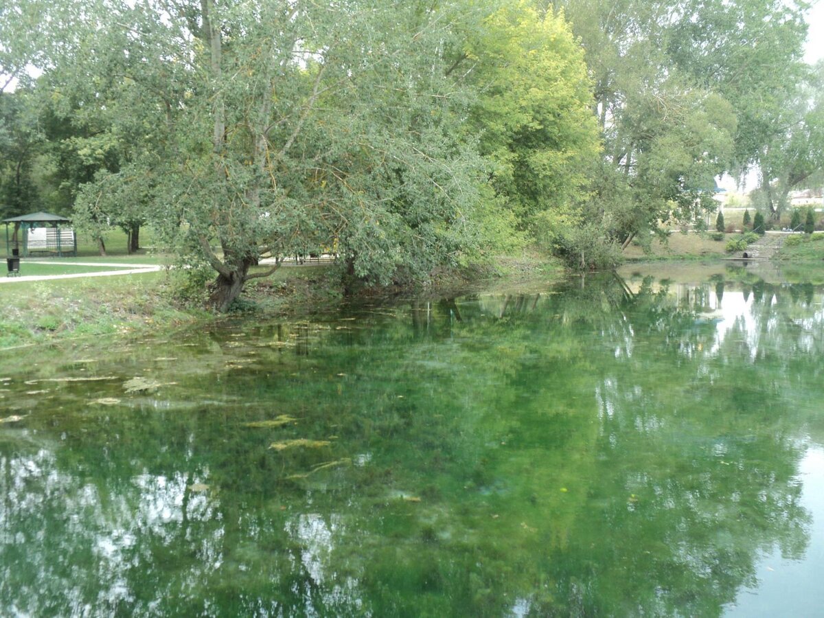 Фото автора канала