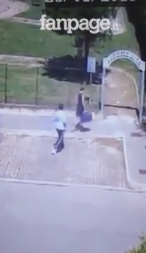 Источник фото: https://www.amoremiao.it/7248-abbandonano-gatto-nel-parco-incastrate-dalle-telecamere-sorveglianza-video/