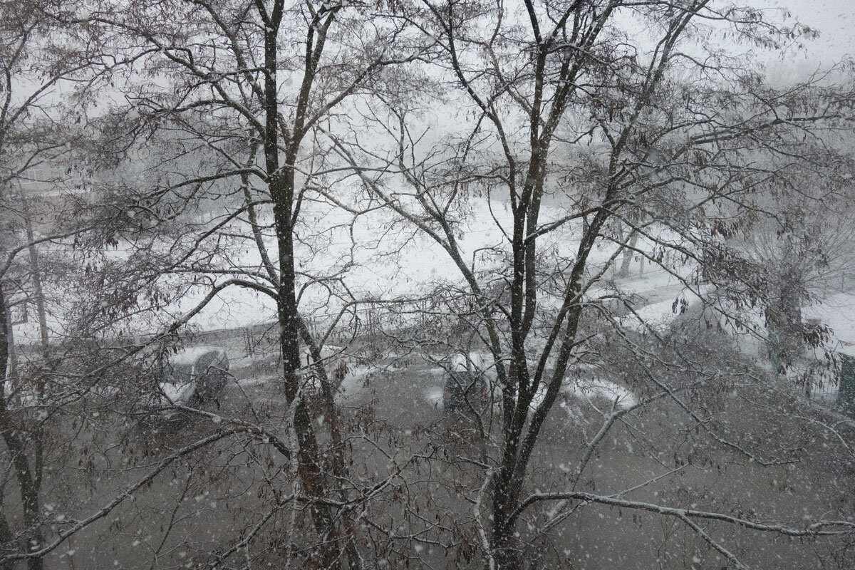 вид из окна в конце марта