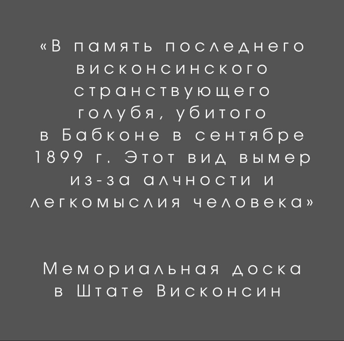 #природа #животные #птицы #биология #экология #вымирание 