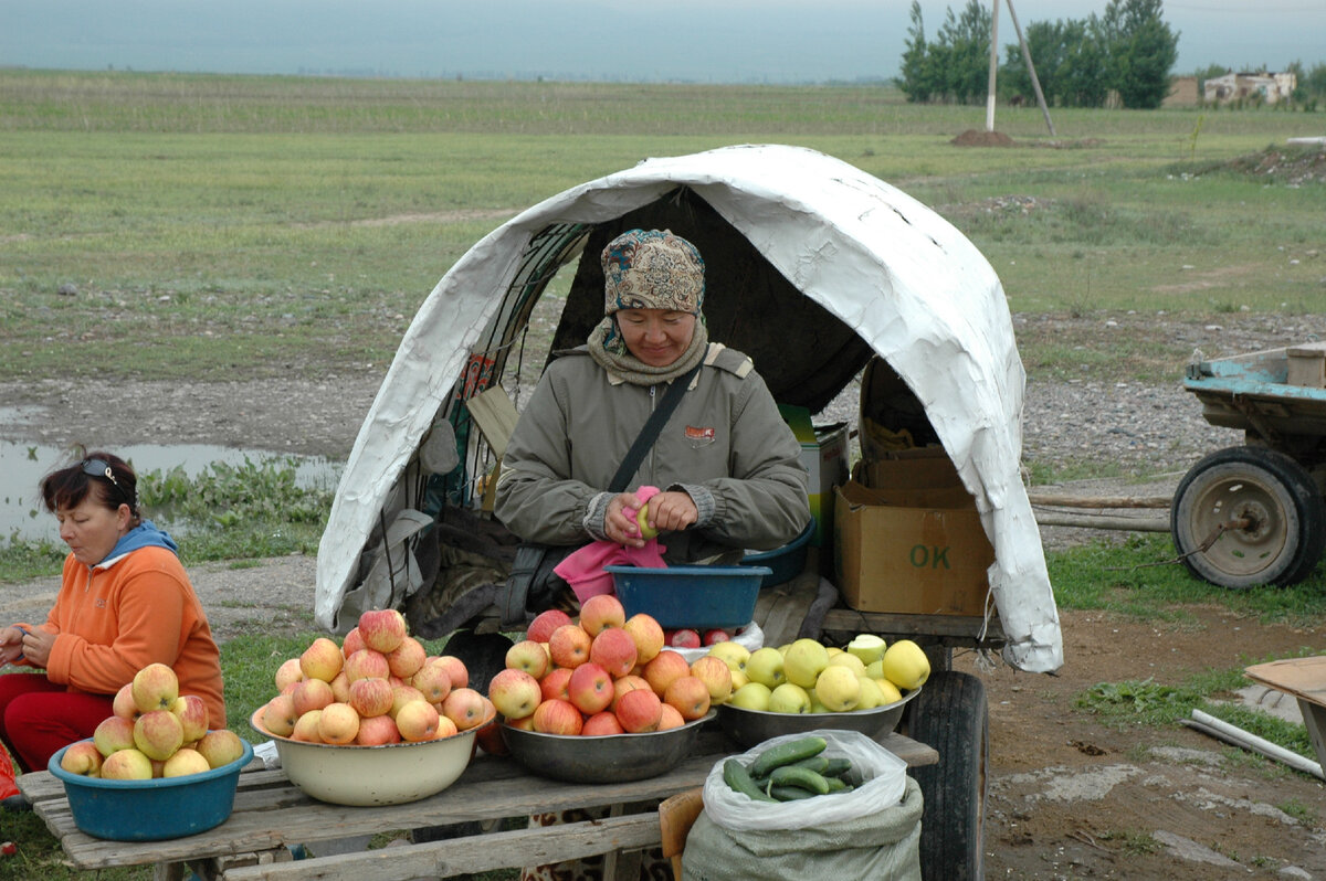 По дороге. Фото: Андрей Парфентьев