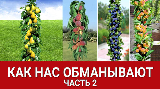 Как нас обманывают - часть 2