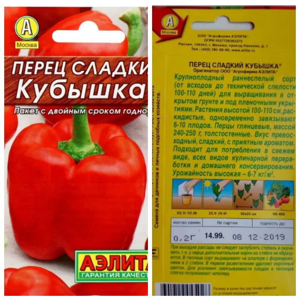 Перец кубышка характеристика