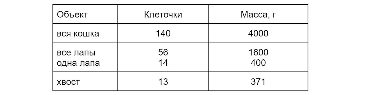 Таблица результатов измерения кошки по клеточкам