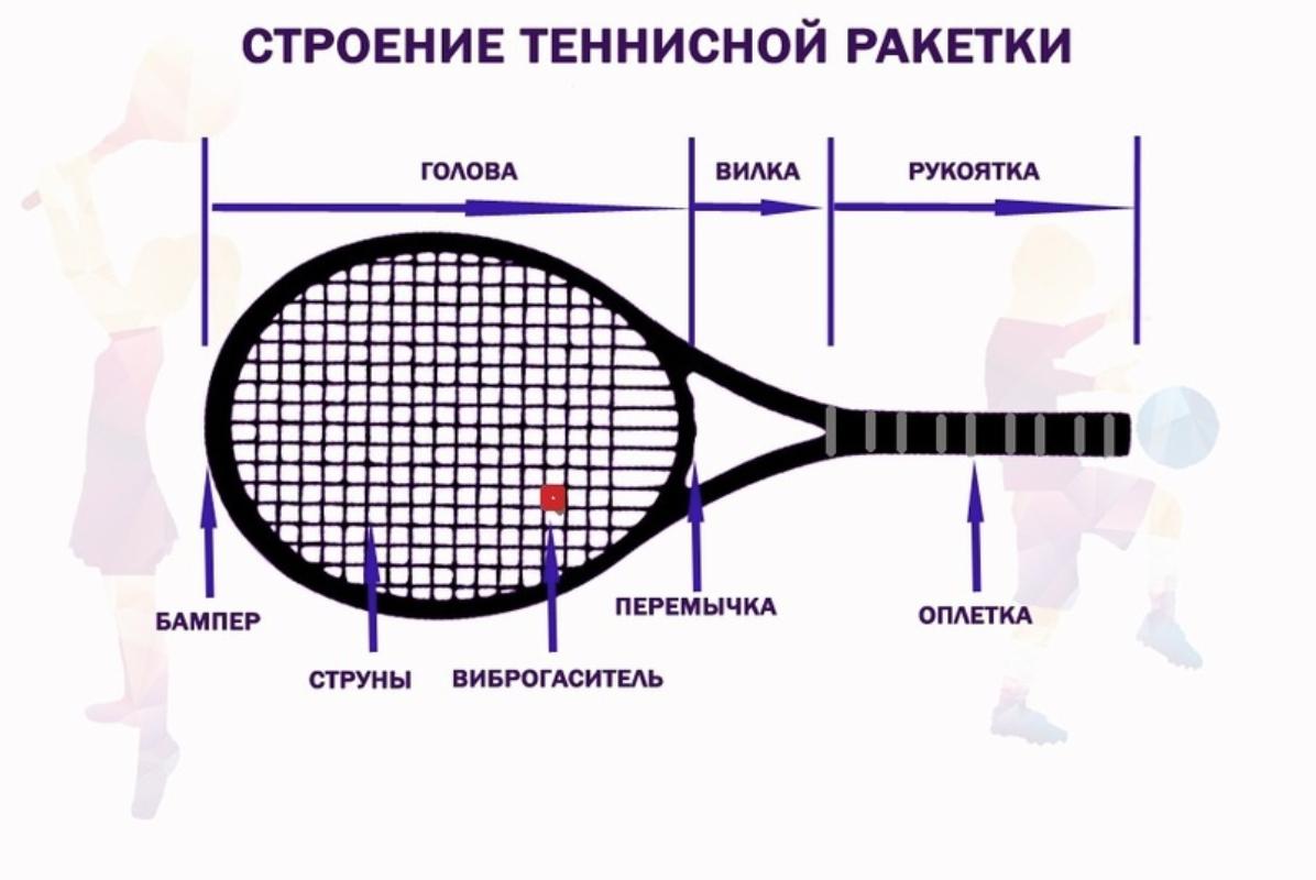 Как подобрать ракетку для тенниса