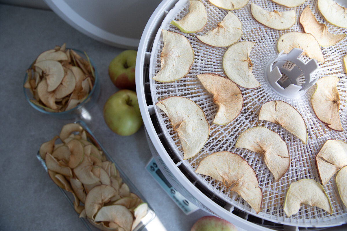 Сушёные яблоки из дегидратора сохраняют свой цвет, вкус и гораздо дольше хранятся