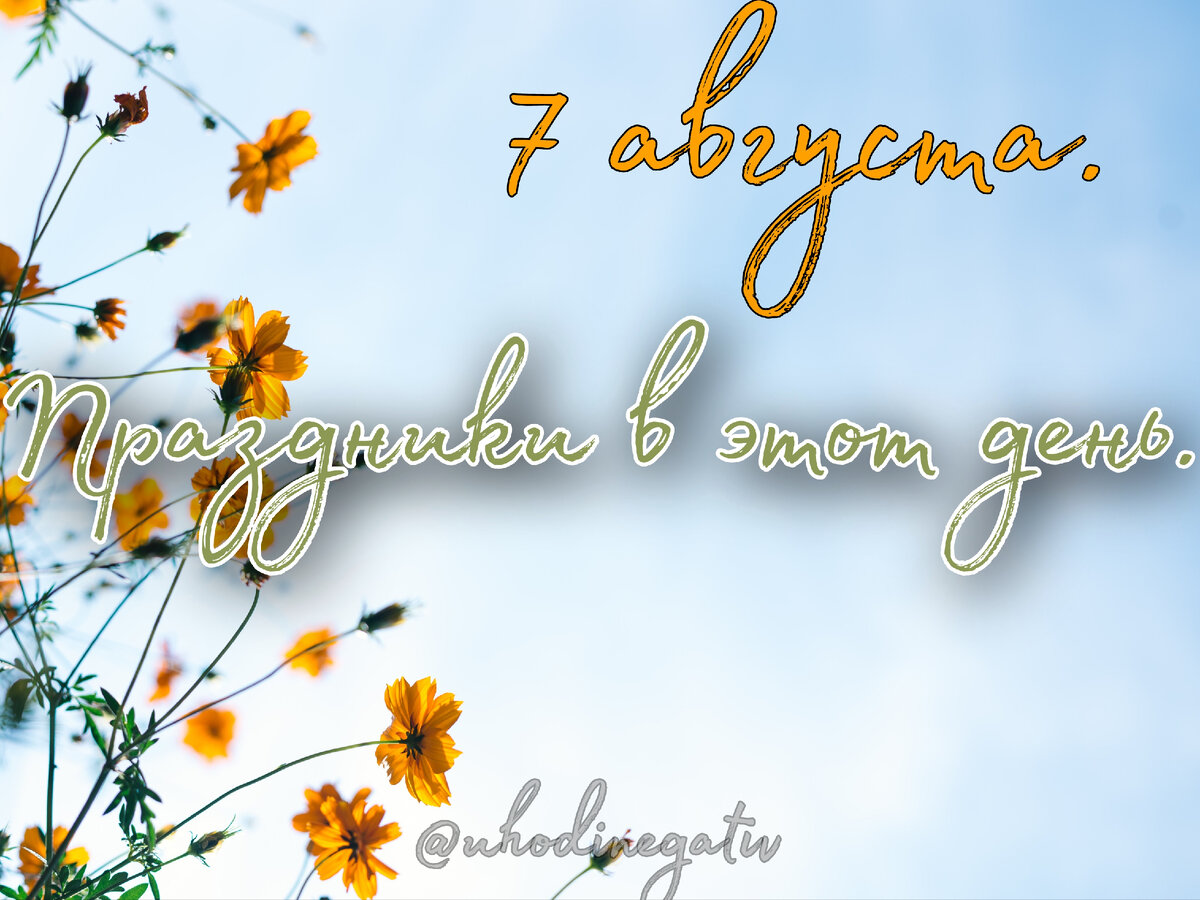 Фото: Анна Салтаганова.