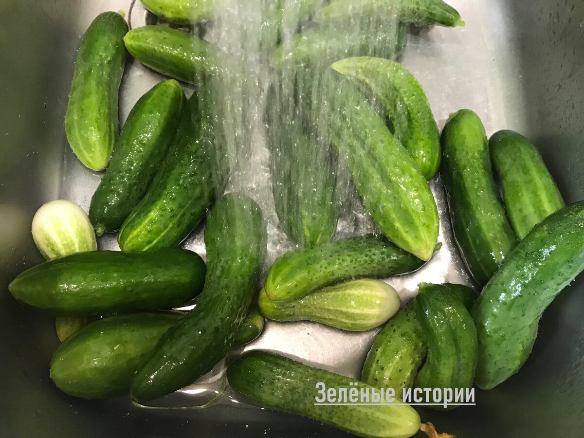 Я беру вот такие - всякие