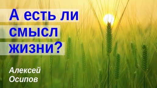 А есть ли смысл жизни? / А.И. Осипов