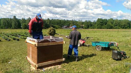    Зимний огород и птицеводство: вы можете выращивать деньги круглый год!