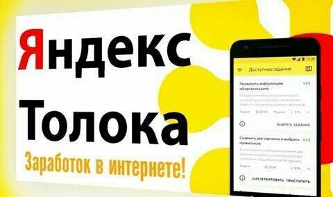 502,17$ - именно столько я заработала на Толоке. Совсем не быстро, конечно.