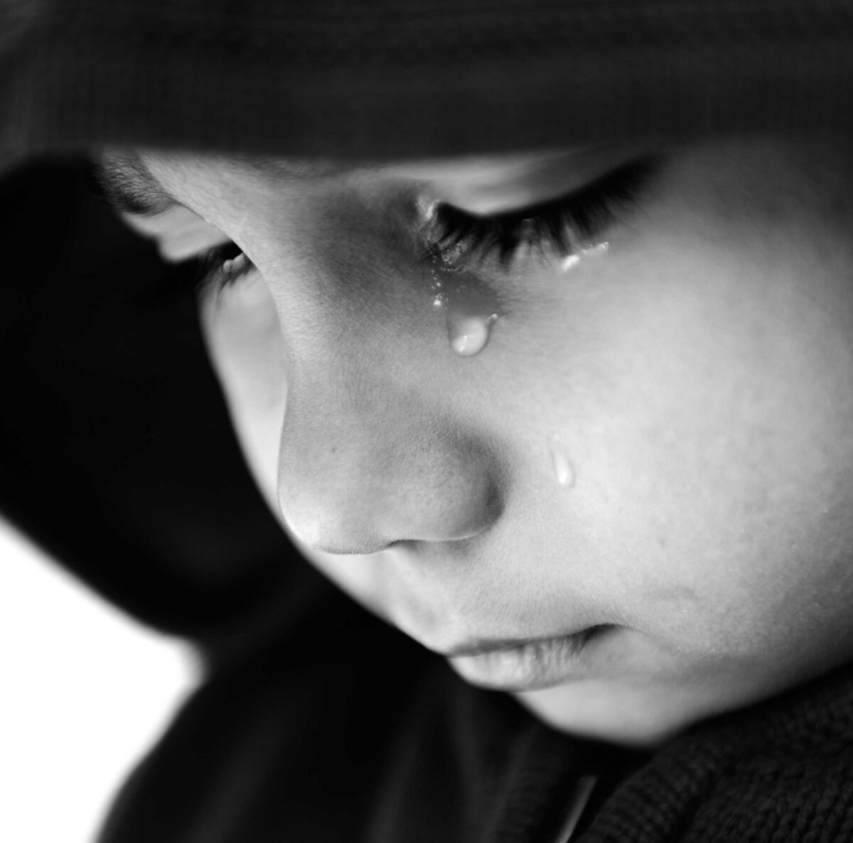 фото из свободных источников