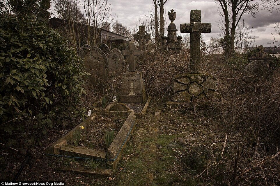 Картинка из интернета