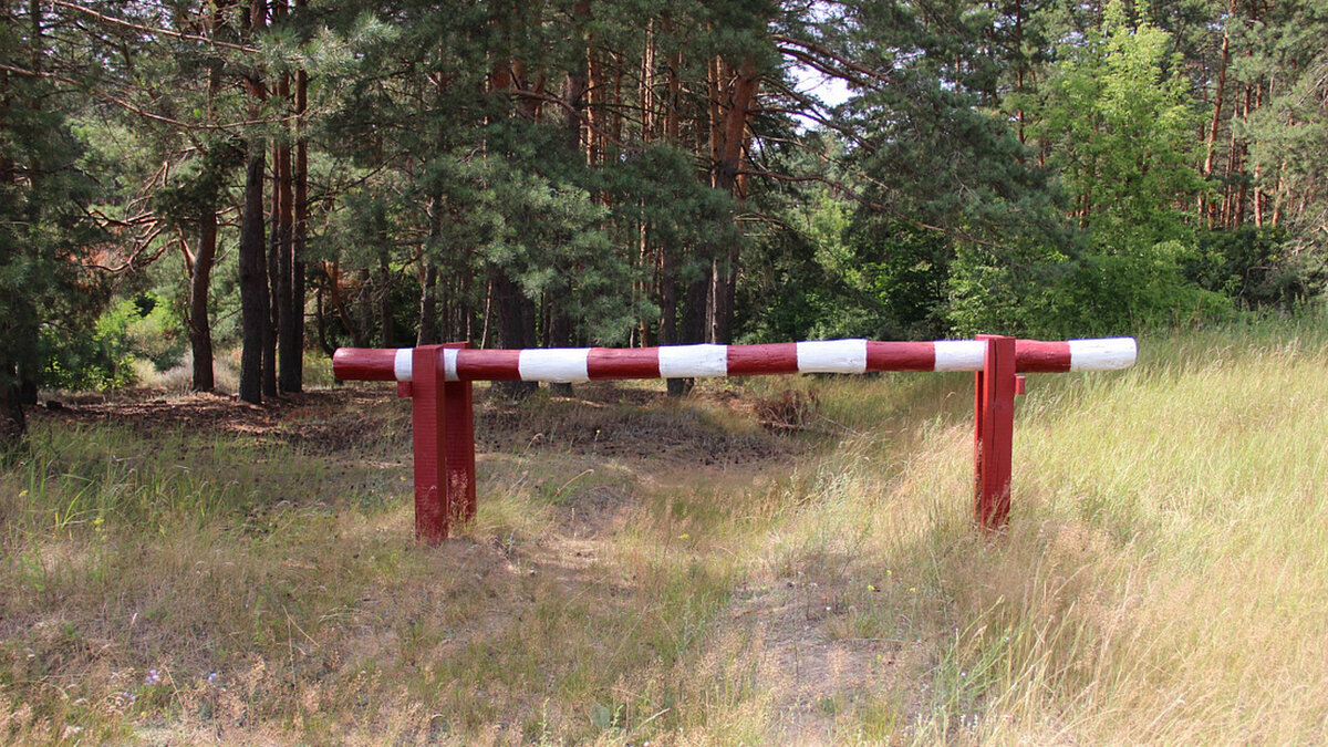    В Курской области продлены ограничительные меры на пребывание граждан в лесах