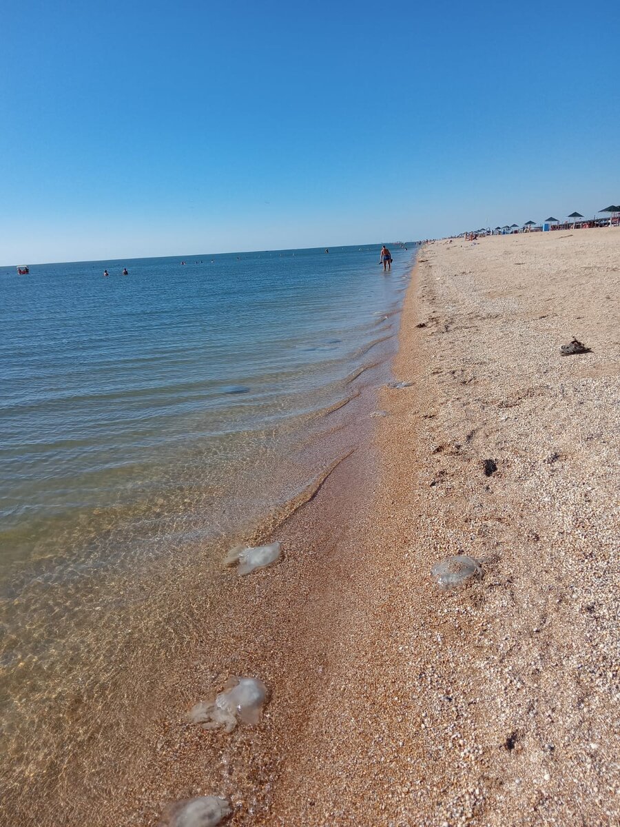 должанская коса азовское море