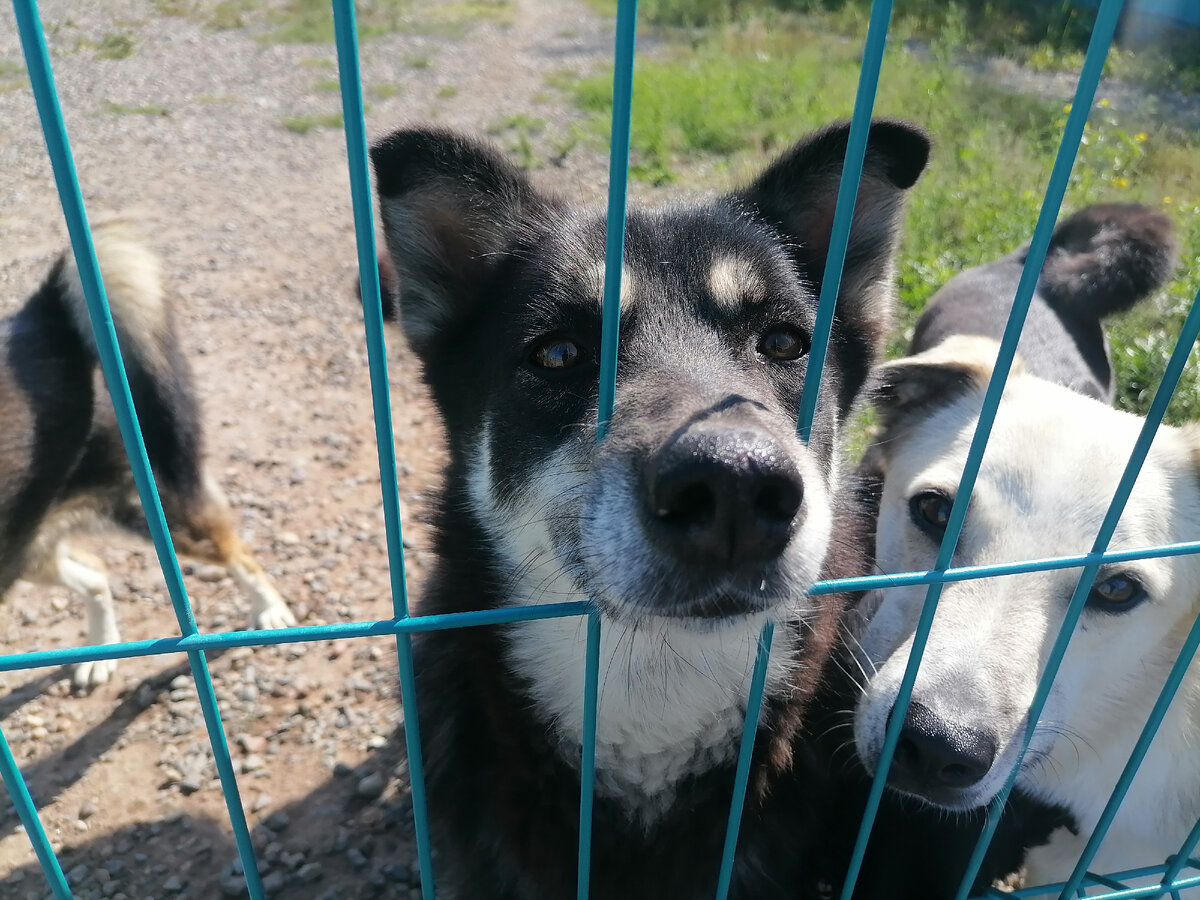 Брава очень хочет общаться😍