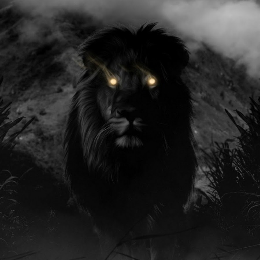См черный лев. Черный Лев. Темный Лев. Черный Лев арт.