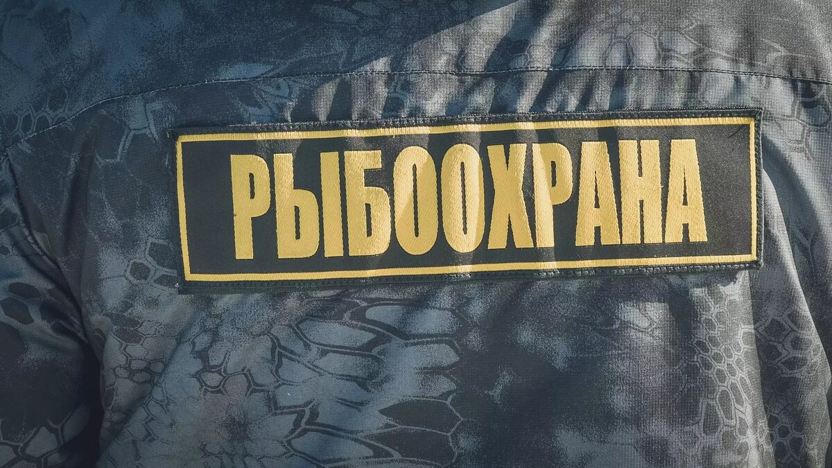     Двух жителей Ставрополья будут судить за ловлю рыбы в частном пруду, сообщает Левокумский районный суд.