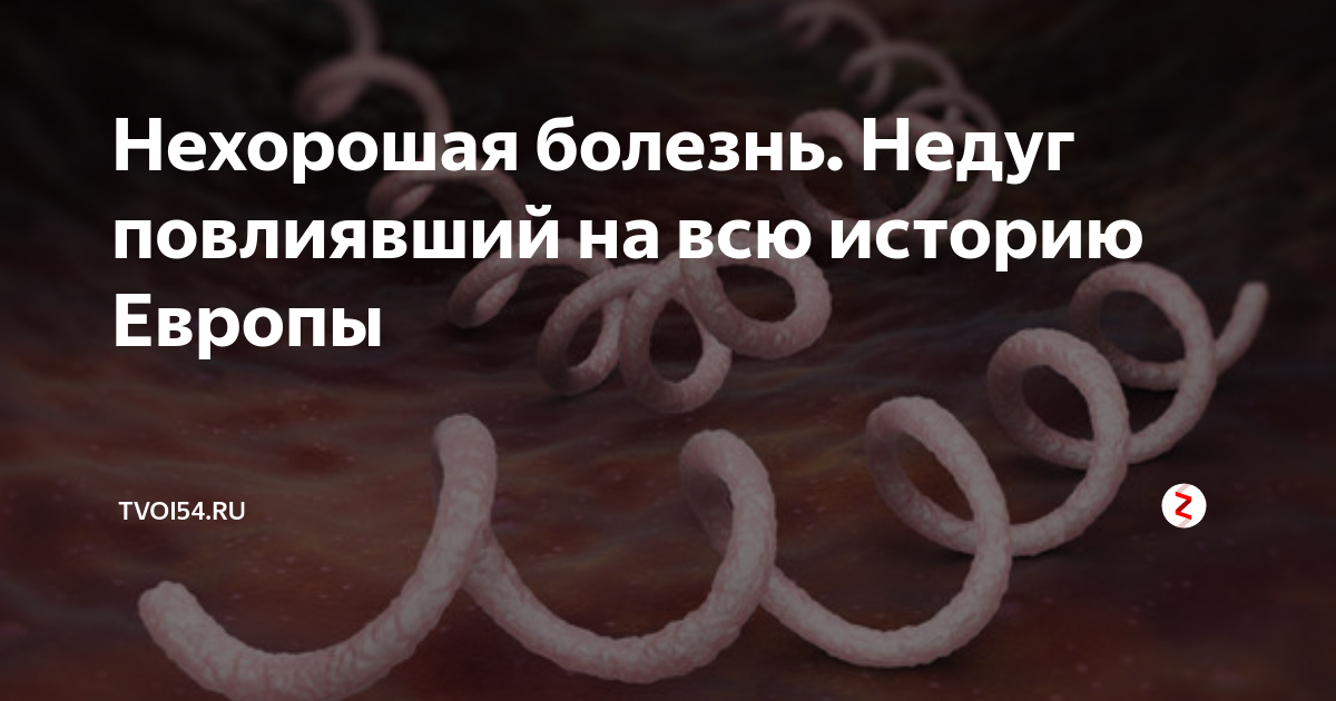 Нехорошая болезнь. Недуг повлиявший на всю историю Европы | tvoi54.ru ...
