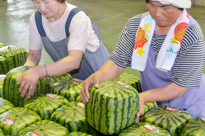 Фото:https://www.spendlifetraveling.com