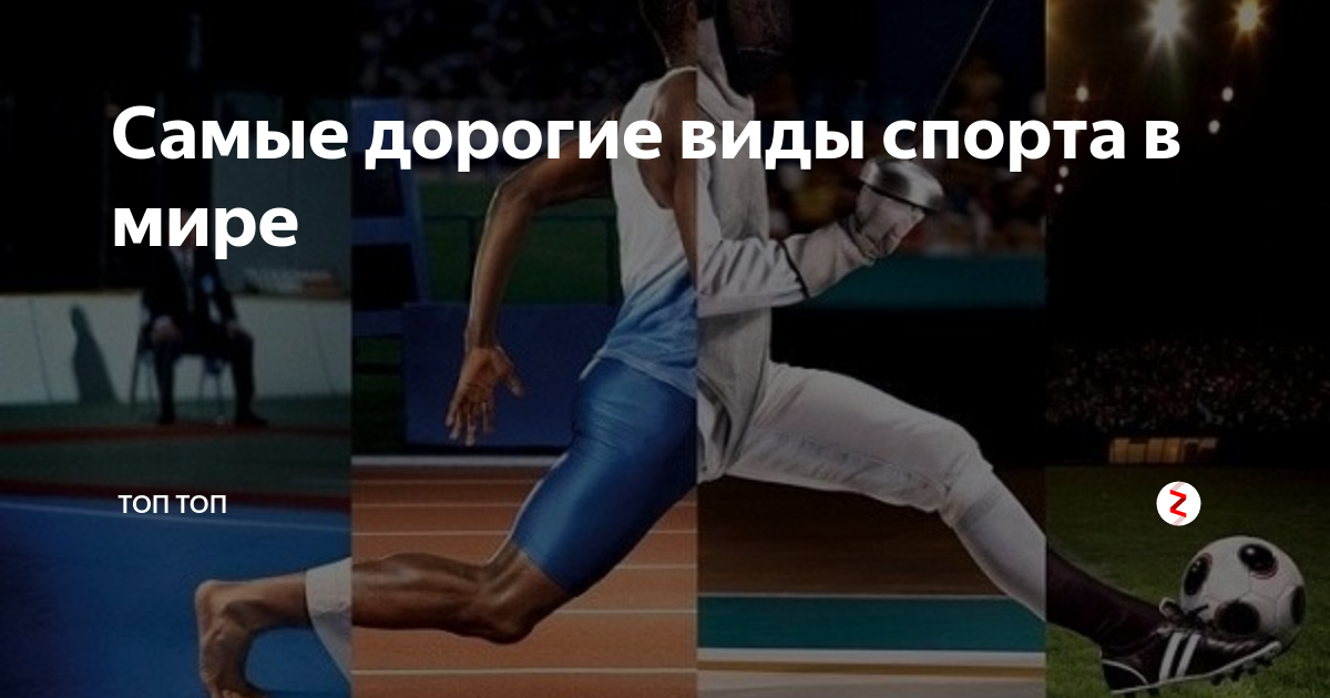 Самый дорогой вид спорта в мире