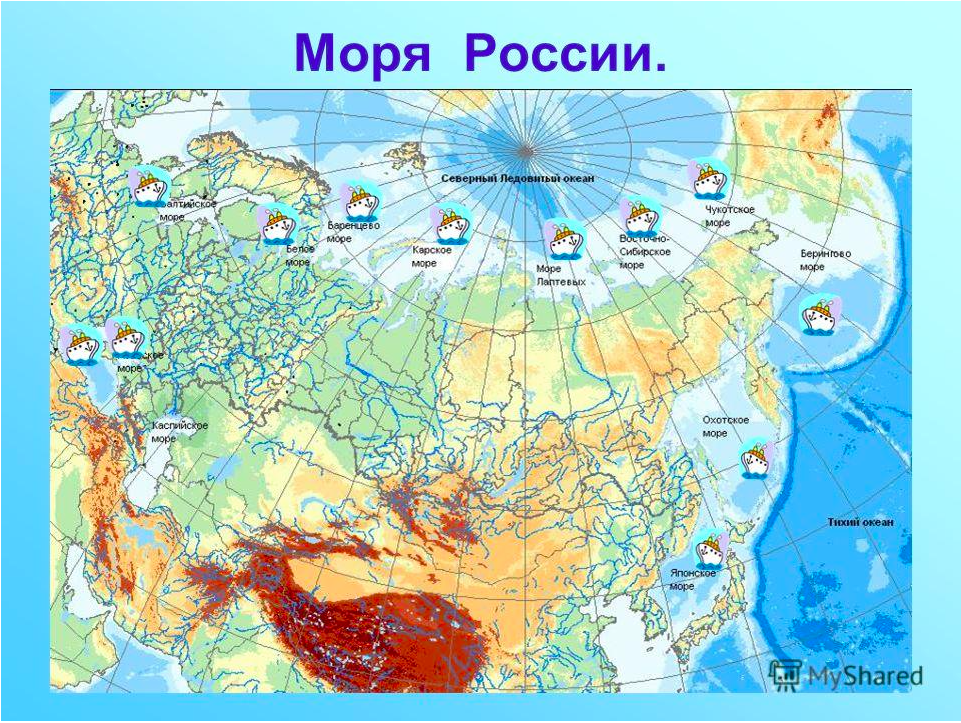 Территорию России омывают 12 морей. Моря омывающие территорию России на карте. Моря омывающие берега России на карте. Моря Северного Ледовитого океана омывающие Россию на карте.