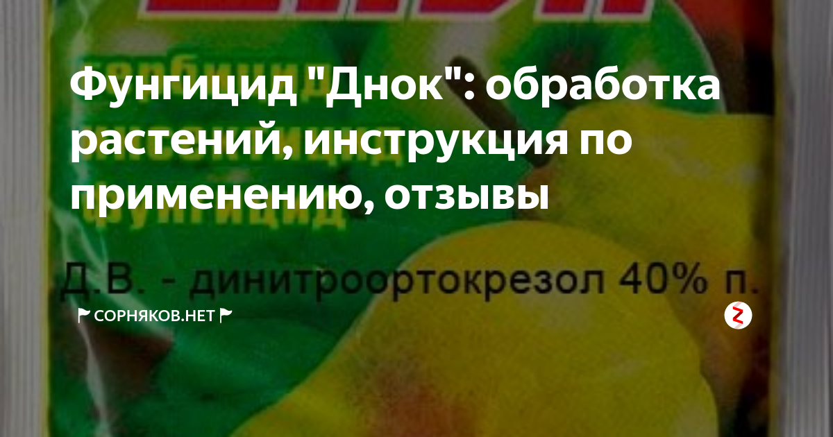 Препарат днок инструкция по применению. ДНОК фунгицид. ДНОК фунгицид инструкция по применению. ДНОК 10 Г. Масла ДНОК.