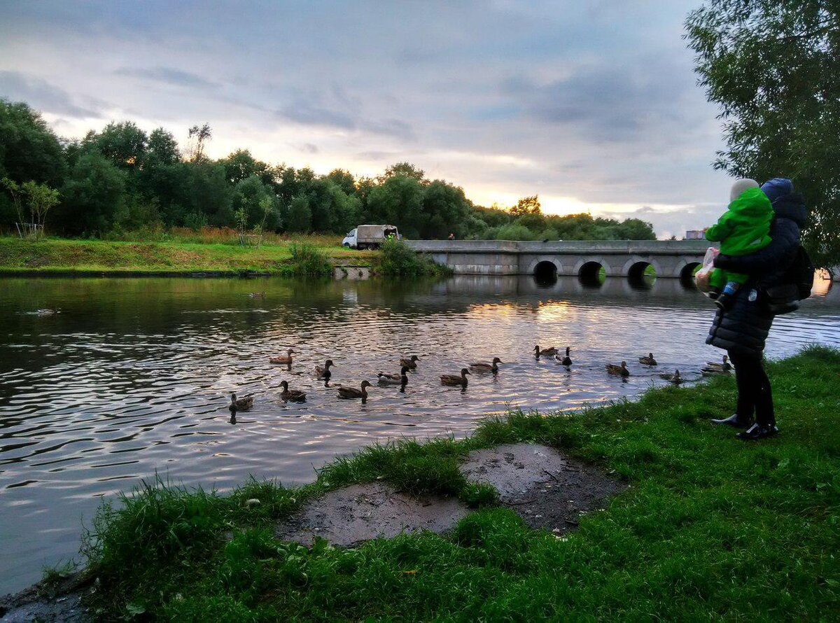 Парк полежаевский фото